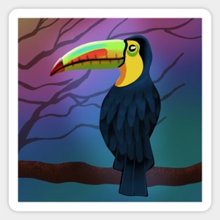 Colorful Toucan Bird Sticker